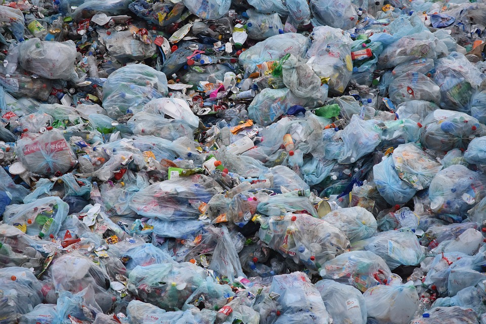 LMP Seeks Ban On Plastic Bags In Hungary