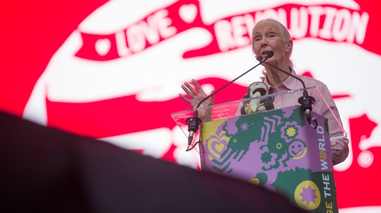 Video: Jane Goodall, UN Peace Messenger, Interviewed By British Ambassador Lindsay At Sziget "Love Revolution" In Budapest