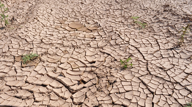 Droughts ‘Becoming More Frequent’ in Hungary