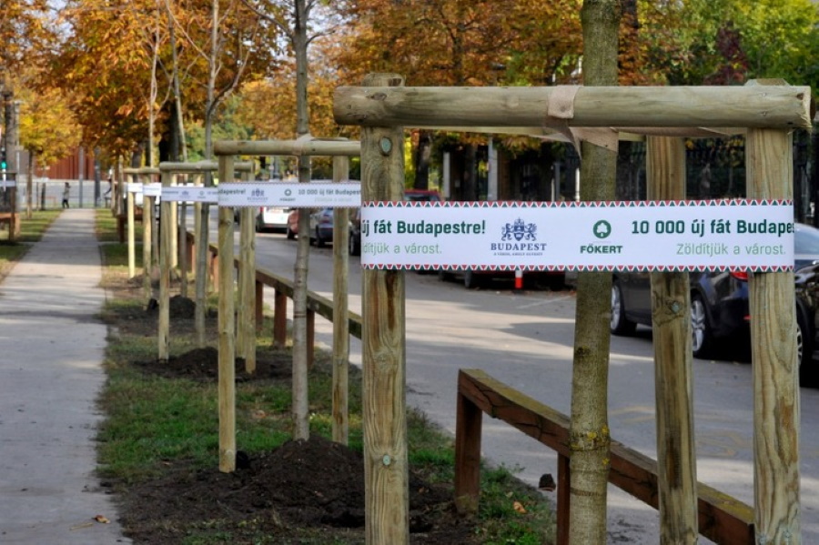 Mayor Tarlós: 10,000 Trees Planted In Budapest