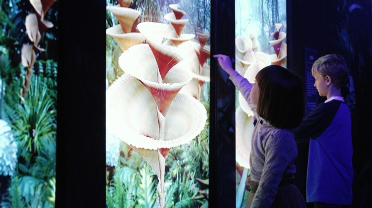 'Avatar – Discover Pandora' Exhibition In Budapest