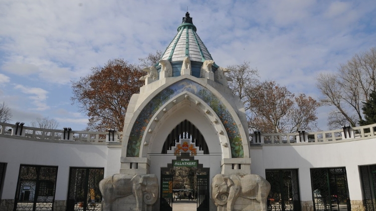 Insider’s Guide: Budapest Zoo – Take a Walk on the Wild Side