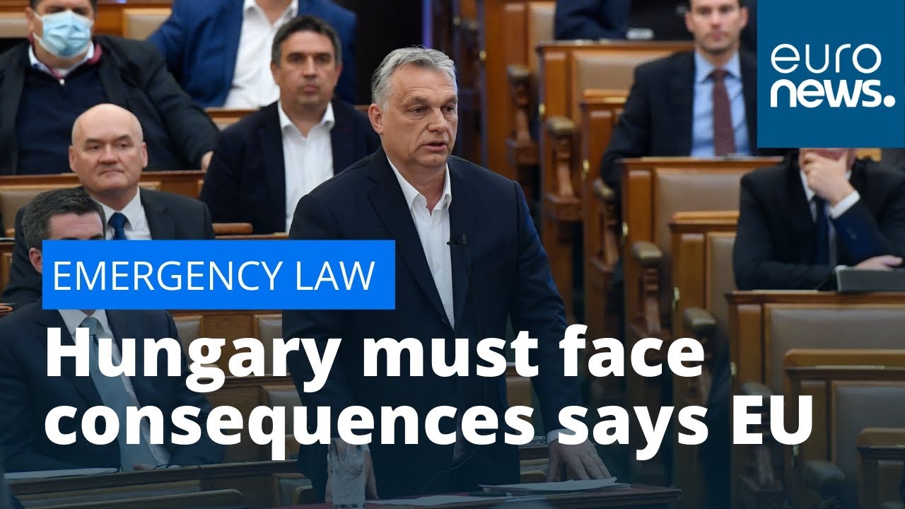 Video: MEPs Say Hungary Must Face Consequences For Emergency Law