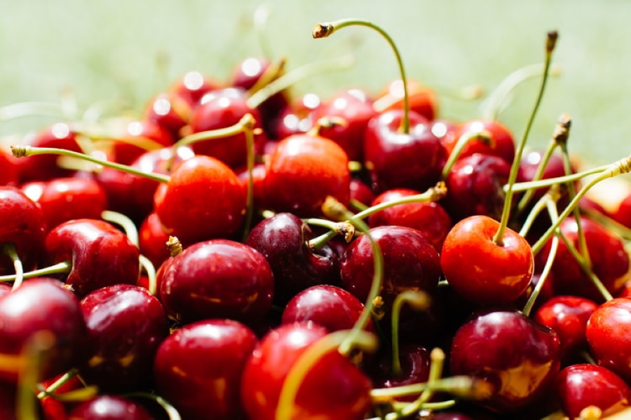 Another Year Of Low Cherry Yields In Hungary