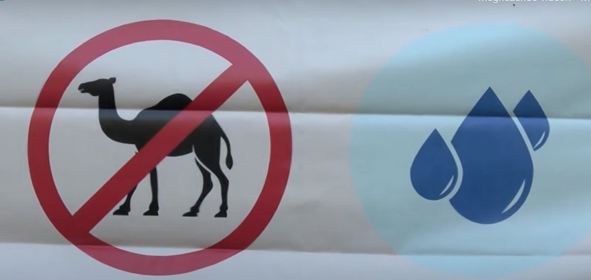 Watch: Activists Bring Camels To Budapest Warning 'Hungary Could Become A Desert'