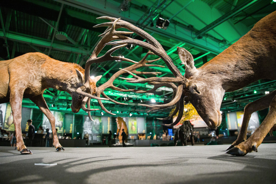 Report: World Hunting Expo in Budapest Now on Until 14 October