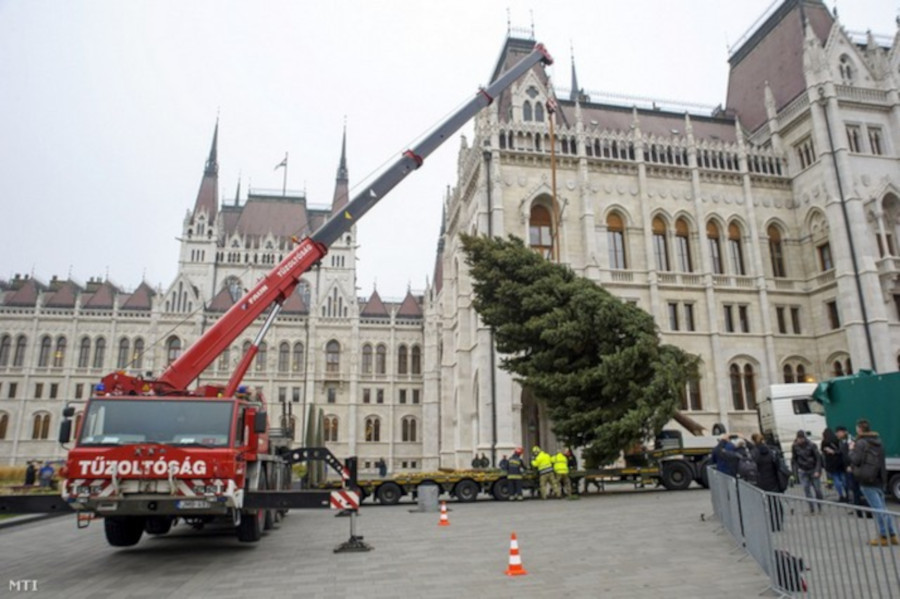 Massive Christmas Tree Goes up in Front of Parliament in Budapest