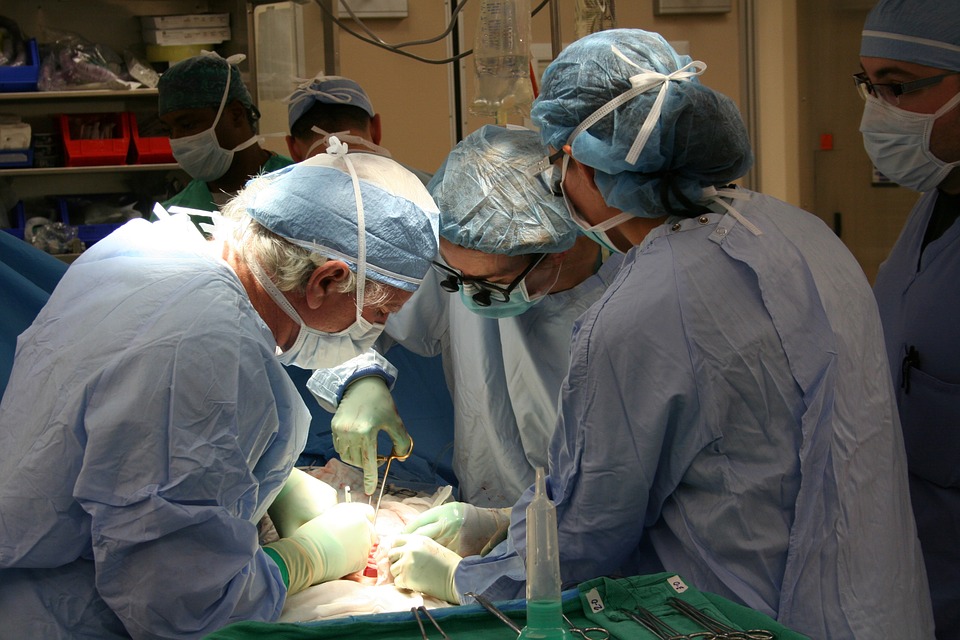 Hungary's 100th Lung Transplant Surgery Success