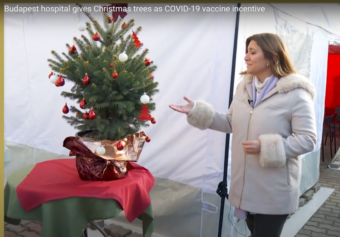 Watch: Budapest Hospital Gives Christmas Trees as Covid-19 Vaccine Incentive