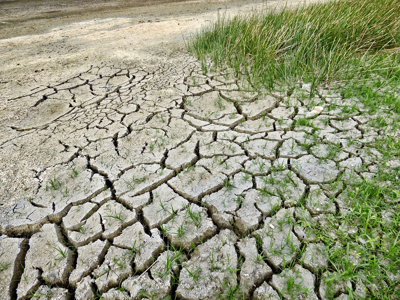 Updated: Drought Alert Issued in Hungary