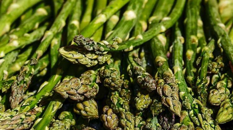 Asparagus Season Starts Later Than Usual in Hungary