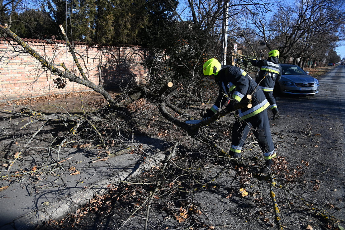 Gale-Force Winds Cause Damage Across Hungary, Reports National Disaster Management Authority