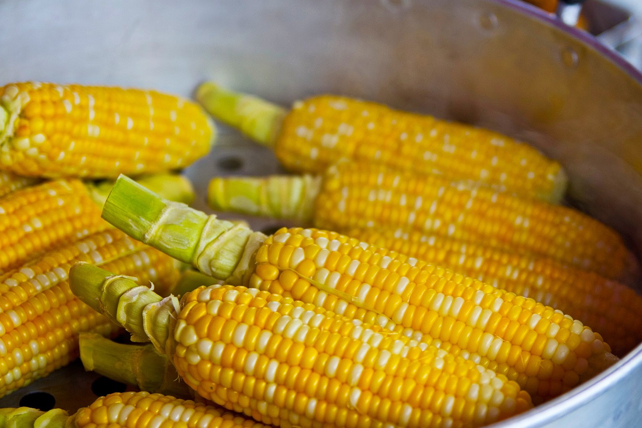 Ministry Withdraws Ukrainian Corn from Hungarian Market