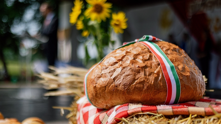 'Bread of the Hungarians' Programme Helps People in Need