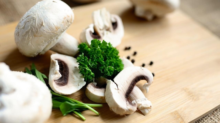 Fungal Superfood:  Mushroom Consumption in Hungary is... Mushrooming