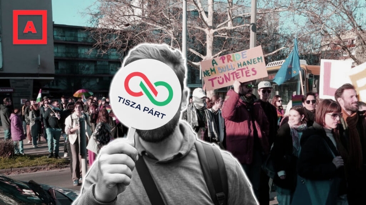 Fake TikTok Accounts are Impersonating Hungarian Opposition MEP's Fake TikTok Accounts are Impersonating Hungarian Opposition MEP's