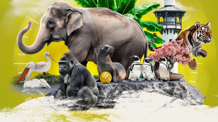 “Be There!” at Budapest Zoo – Interactive Wildlife Experiences Until 5 October “Be There!” at Budapest Zoo – Interactive Wildlife Experiences Until 5 October