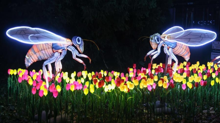 Now On: Chinese Lantern Festival at Budapest Zoo Now On: Chinese Lantern Festival at Budapest Zoo