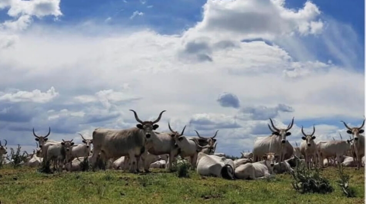 Special Eco Adventures: National Parks Week in Hungary, 19 - 25 May Special Eco Adventures: National Parks Week in Hungary, 19 - 25 May