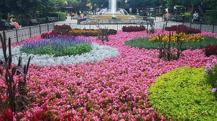 Margit Quarter in Budapest Named One of World's Coolest Neighbourhoods by Time Out Margit Quarter in Budapest Named One of World's Coolest Neighbourhoods by Time Out