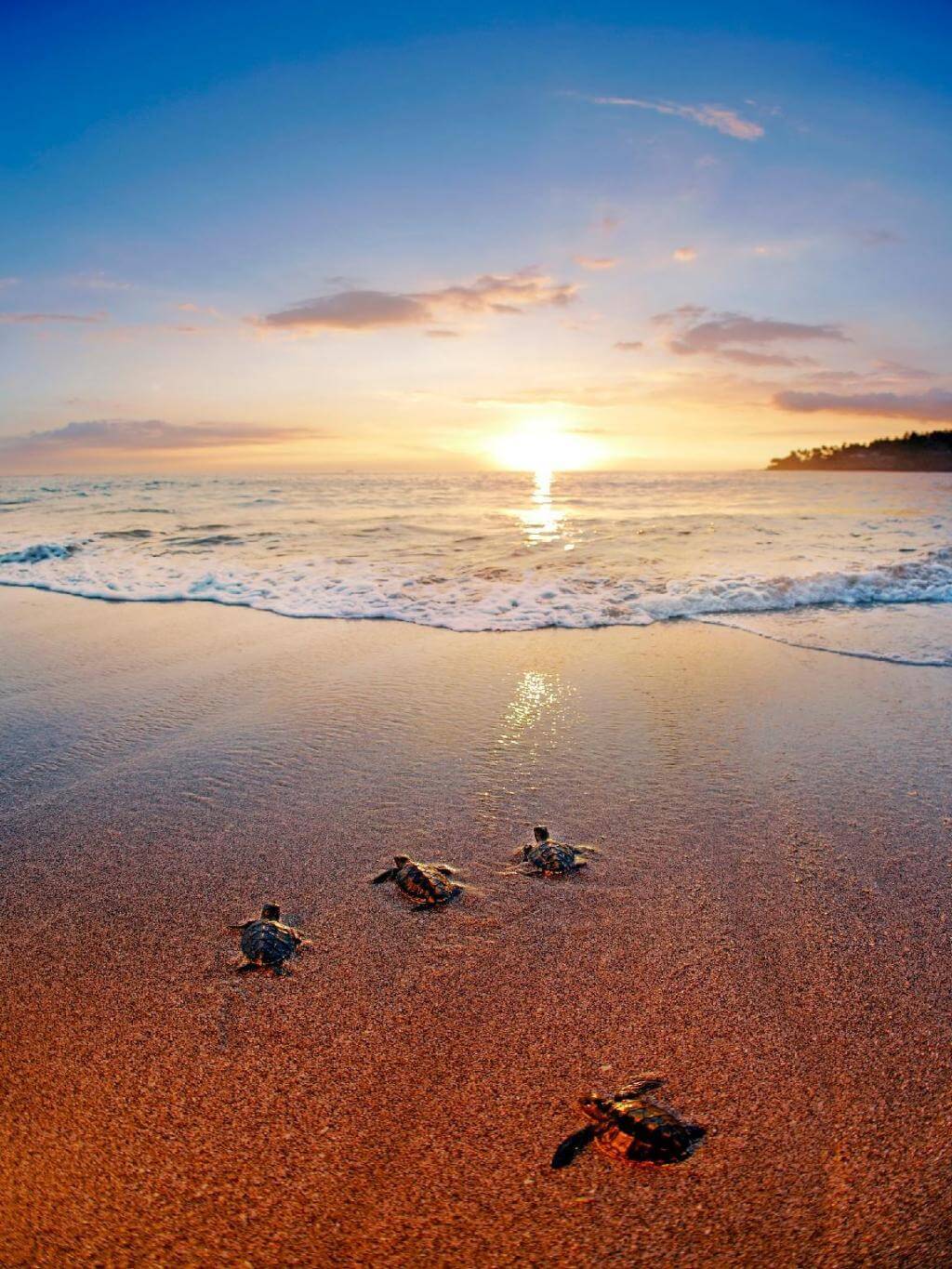 Escape from Budapest to Lombok: Natural Alternative to Bali for Affordable Luxury - 2