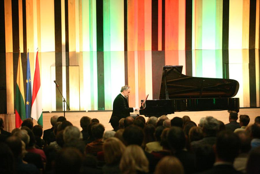 Celebration Of the Restoration of the Lithuanian State Day, Budapest, 16 February