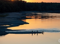 Danube Hits Record Low in Budapest Danube Hits Record Low in Budapest