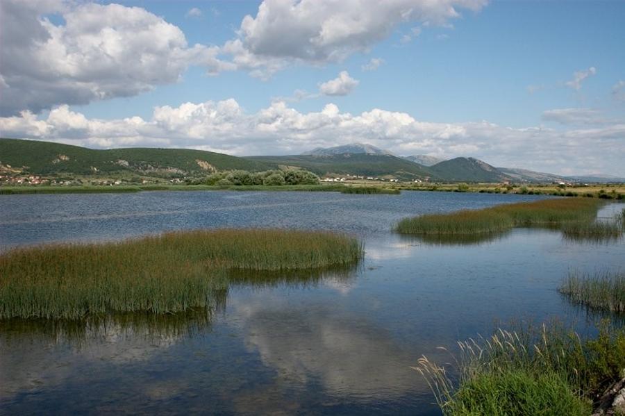 Danube In The Spotlight On World Water Day