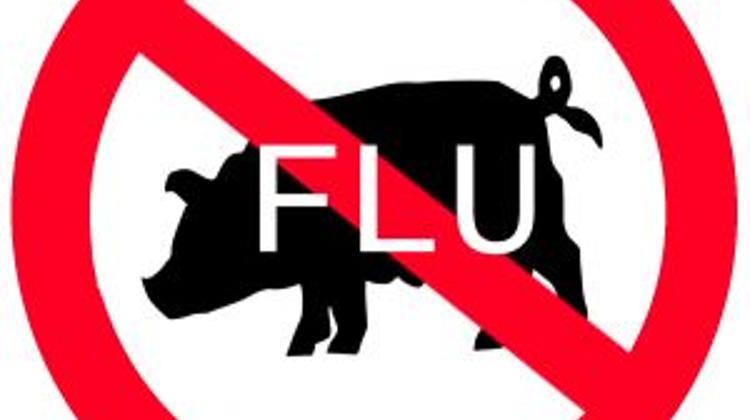 Another Flu Epidemic  In Hungary Unlikely