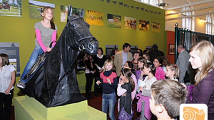 Horse-Breeding, Horse Racing Exhibition, Hungarian Agricultural Museum, Now On