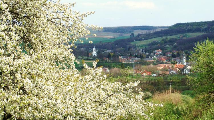 Xpat Opinion: Living In The Hungarian Countryside