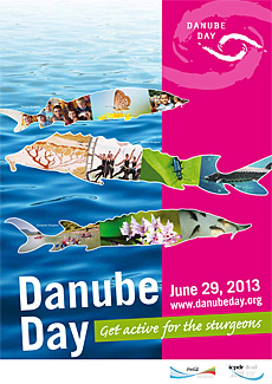 Danube Day 2013 In Hungary, 29 June