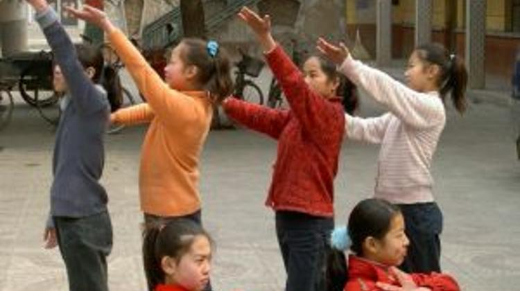A Closer Look Into Chinese Schools In Budapest
