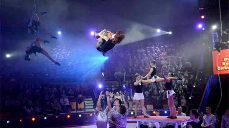 See What Happened @ 10th International Circus Festival In Budapest