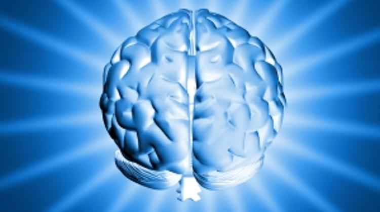National Brain Research Project Starts In Hungary