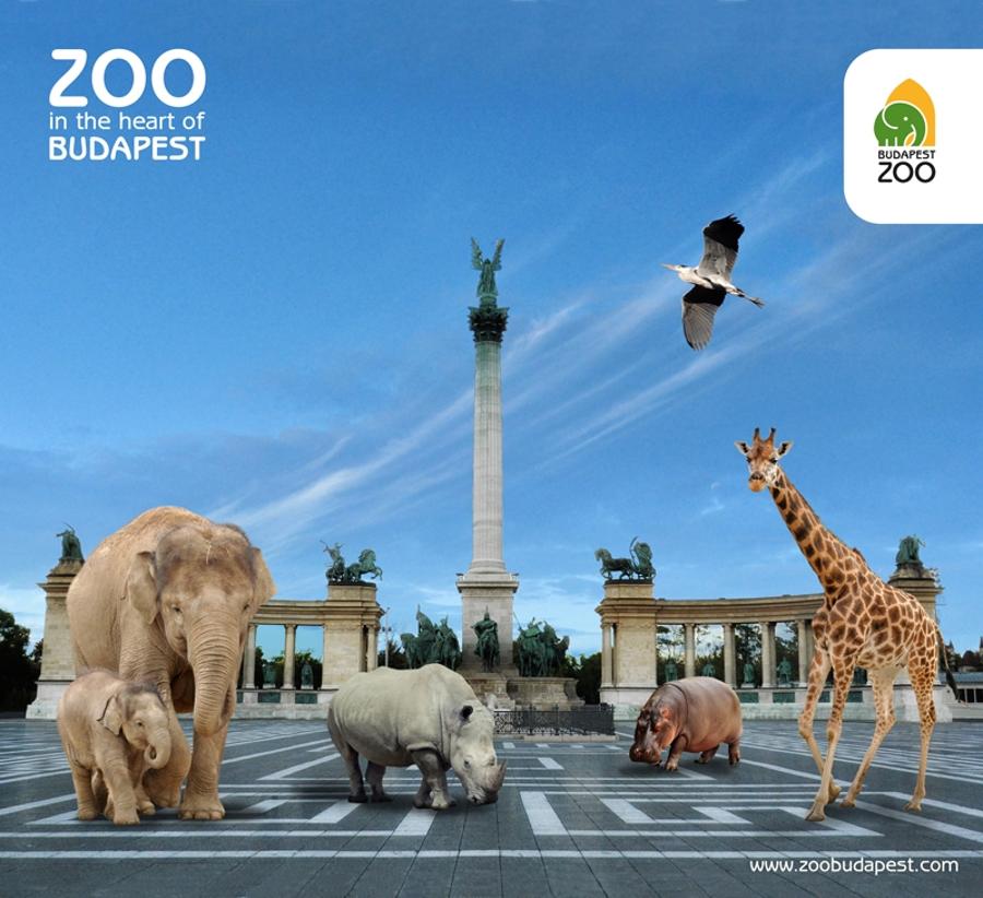 Leading Zoo Professionals Will Come Together In Budapest Zoo