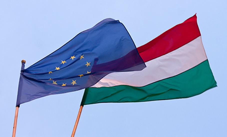 Xpat Opinion:  Hungary's Ten Years In The EU