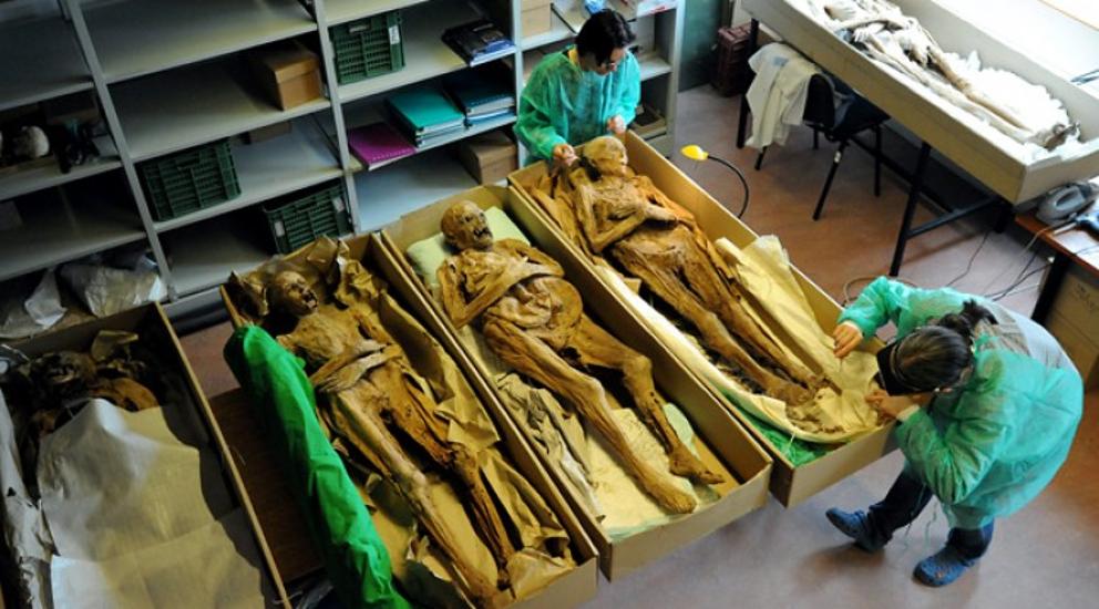Mummies Of Hungary Help Researchers Gain New Information On Tubercolosis