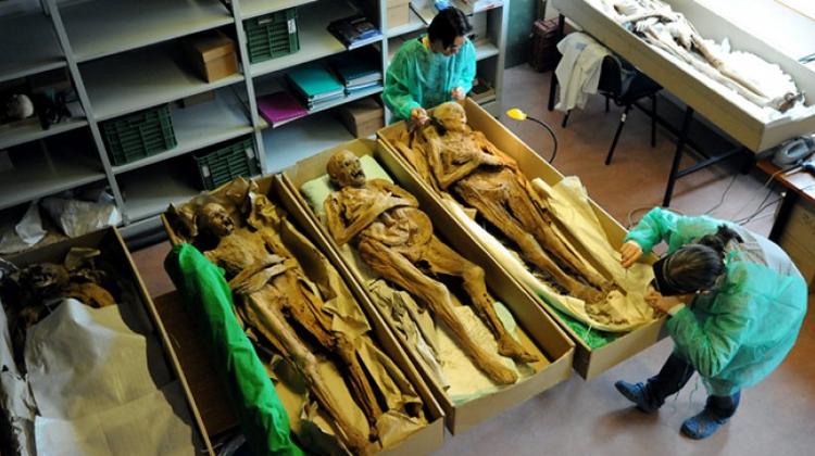 Mummies Of Hungary Help Researchers Gain New Information On Tubercolosis