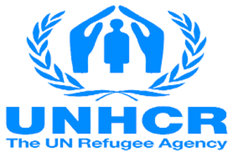 Hungary Asked By UNHCR Not To Rush Asylum Amendments