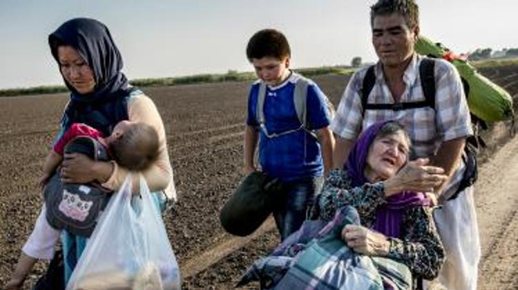 Xpat Opinion: Hungary's New Border Regime Threatens Asylum Seekers