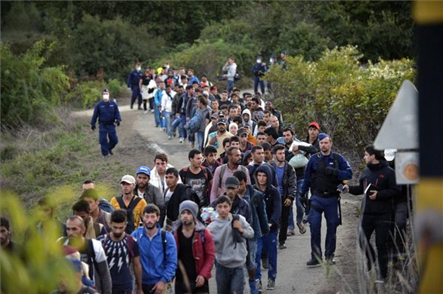 Xpat Opinion: Migrants Streaming In Hungary Again From Croatia