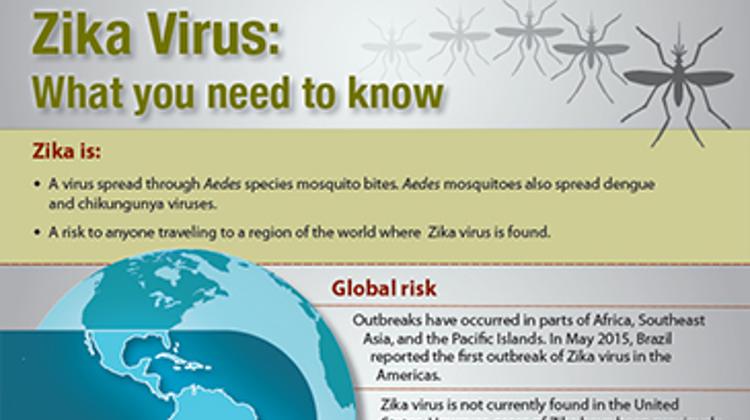 Zika Virus Has Not Reached Hungary