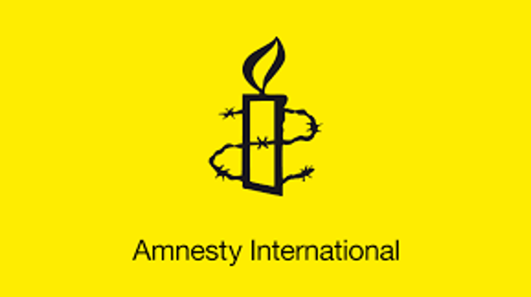 Amnesty Criticises Hungary On Rights