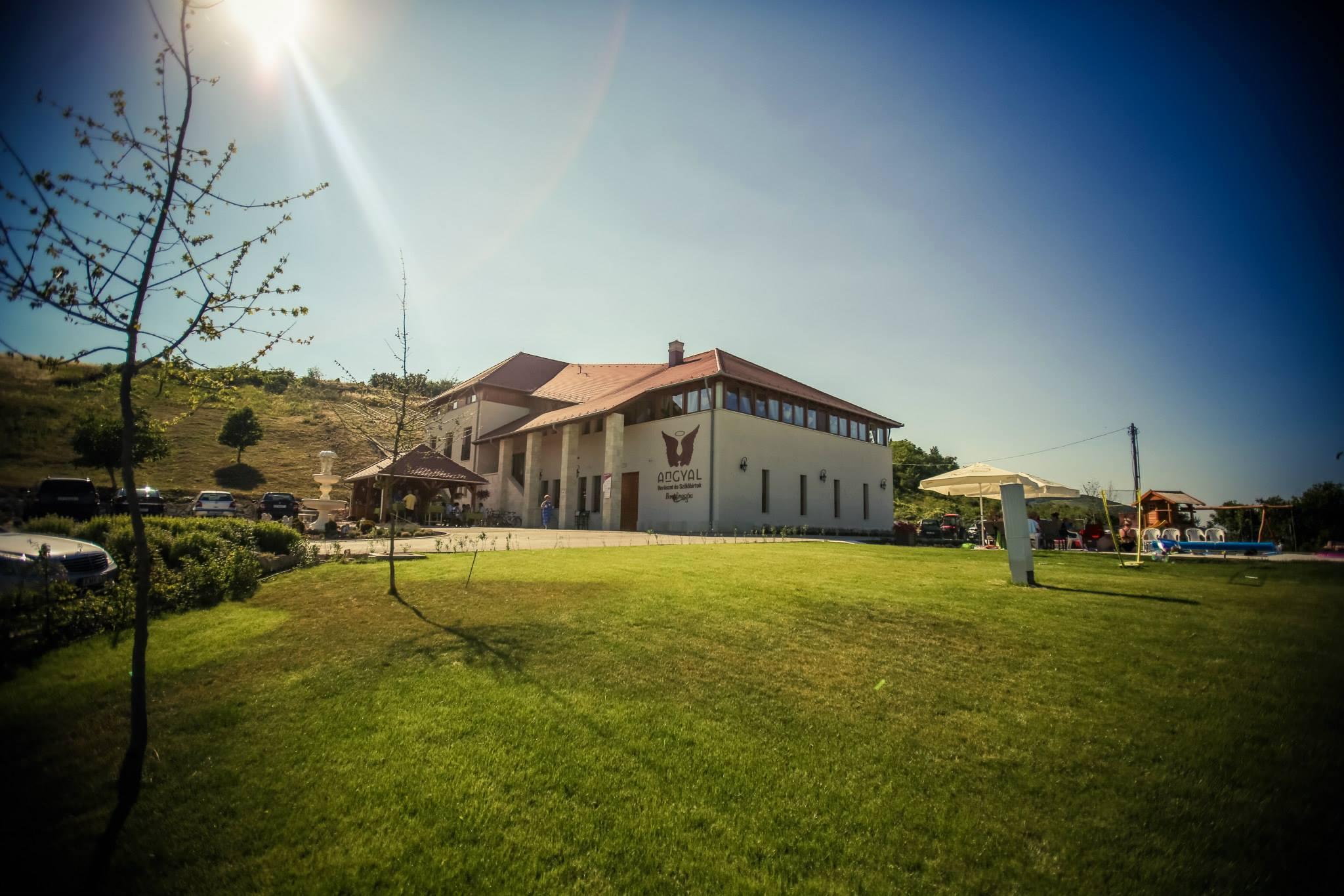 Introducing Hungary's Angyal Winery