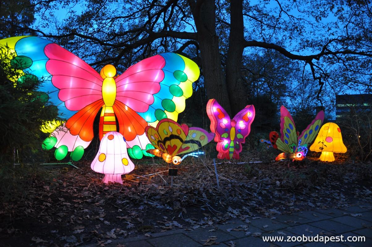 Now On: 'Chinese Magic Lights', Budapest Zoo