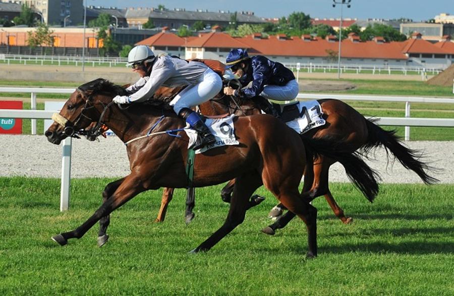 Xpat Review: Enjoying Horseracing In Budapest