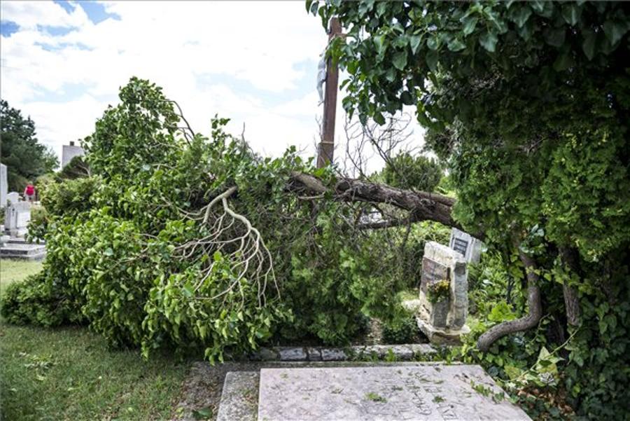 Early July Storm Damage Claims Could Reach HUF 1bn, MABISZ Says