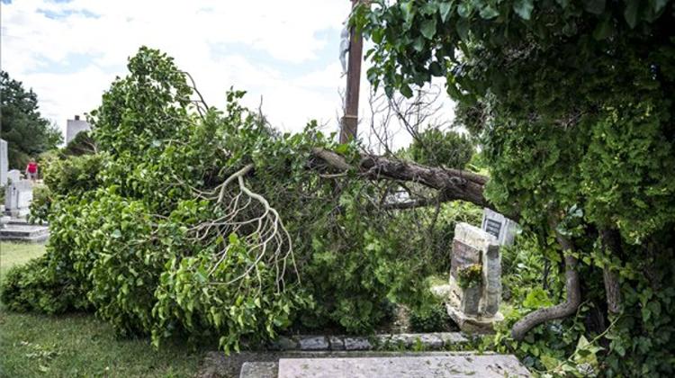 Early July Storm Damage Claims Could Reach HUF 1bn, MABISZ Says