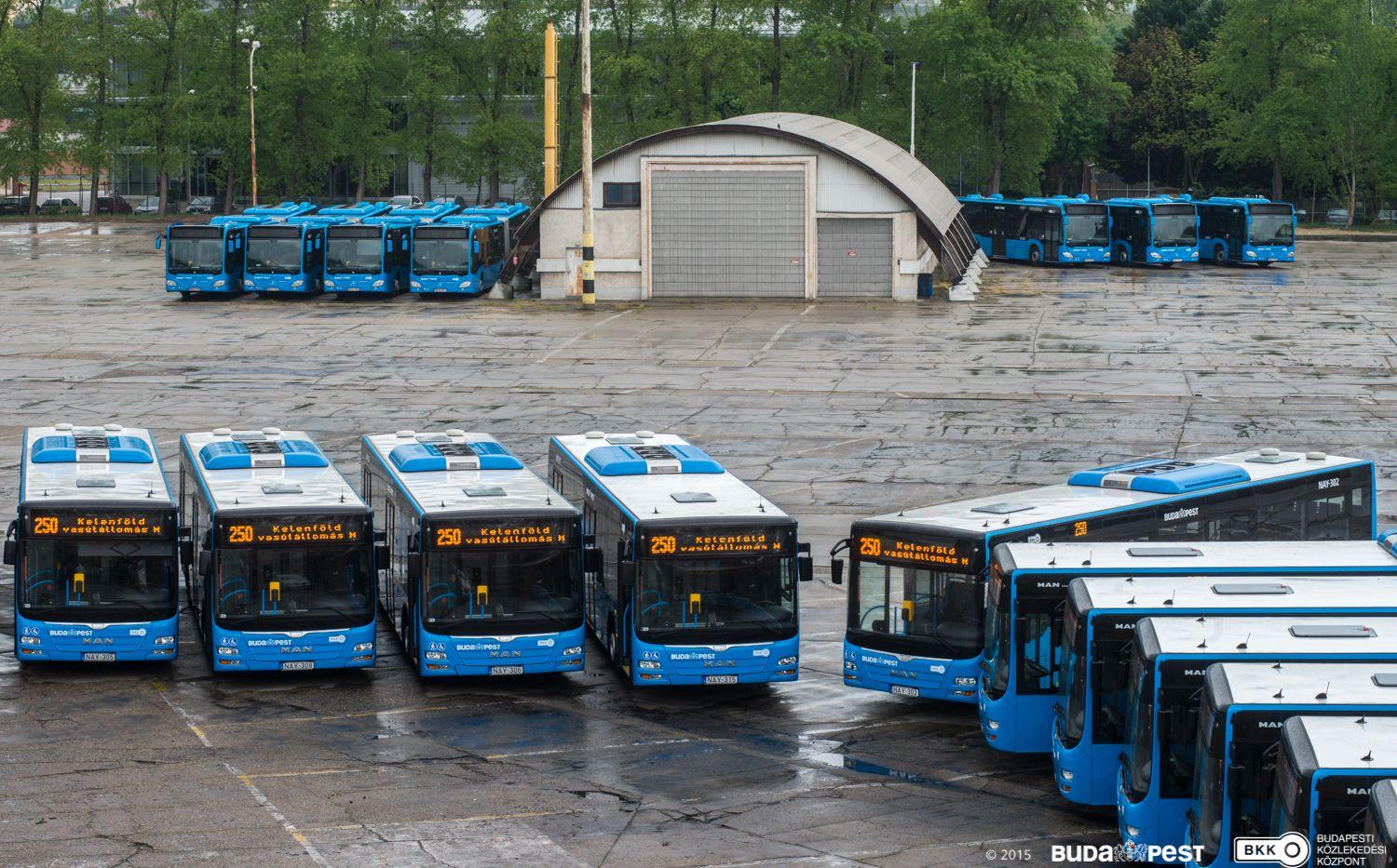 Budapest Bus Drivers Begin Protest